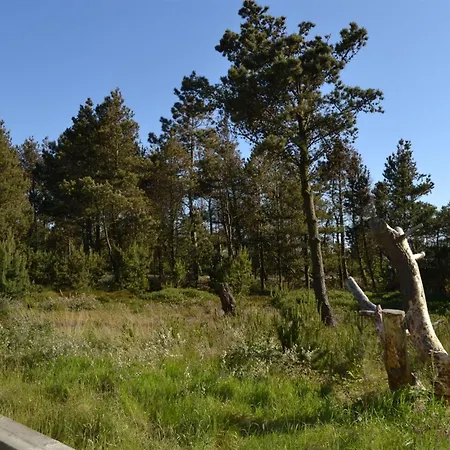 Holiday home Harthwik - 1km From The Sea In Western Jutland By Interhome